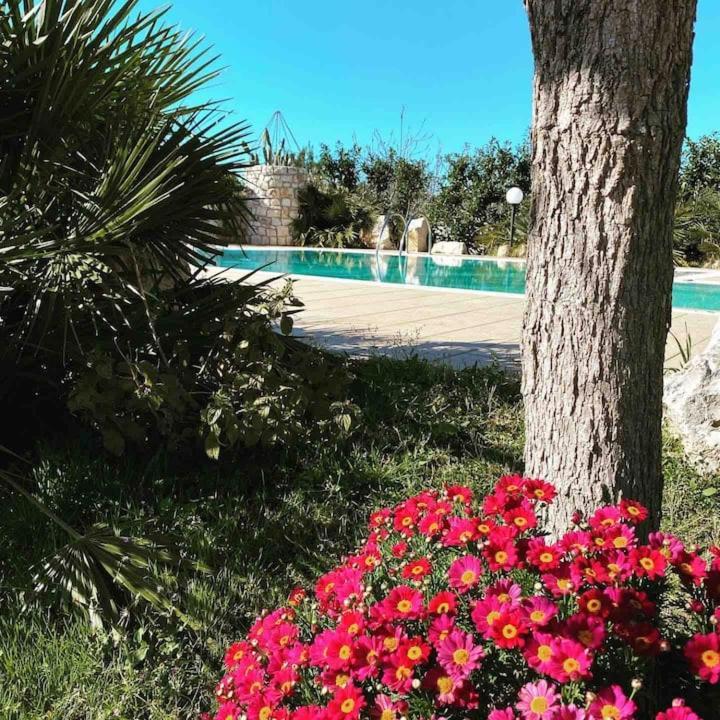Pugliaholidayplus - Villa Cassano Polignano a Mare Zewnętrze zdjęcie